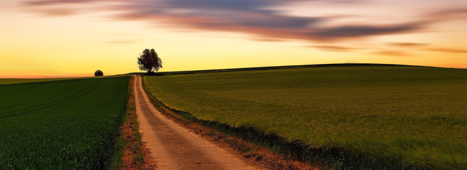 The Road To Securing Your Farming Operation